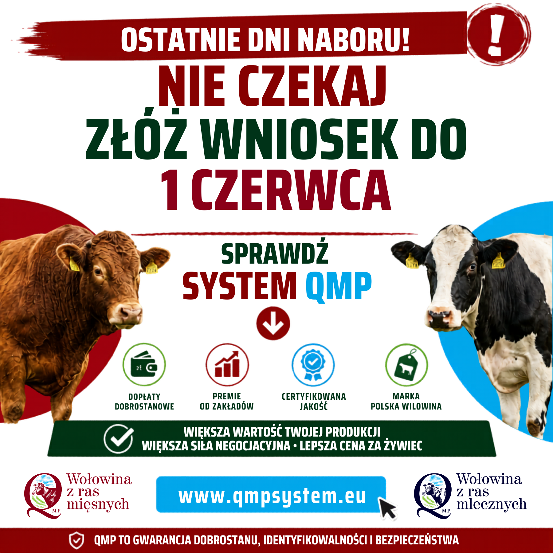 Ilustracja do informacji: PZPBM: system QMP - aktualizacja informacji